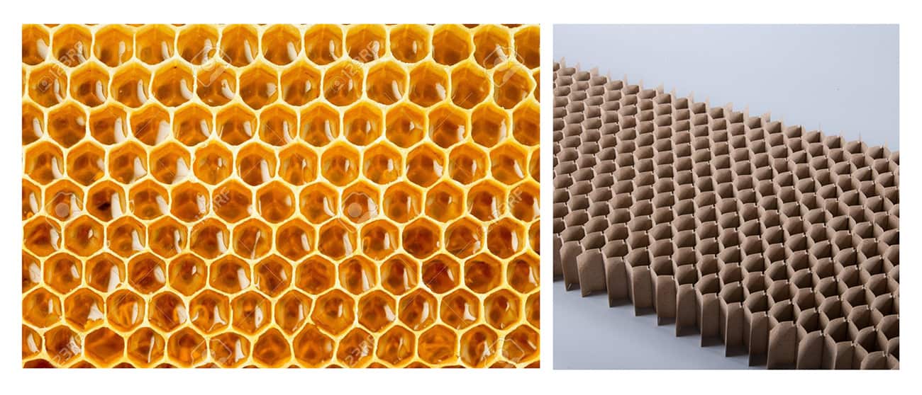 Honeycomb board inspired from the honey bee's habitat