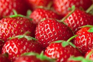 Strawberries tracked through QR and RFID