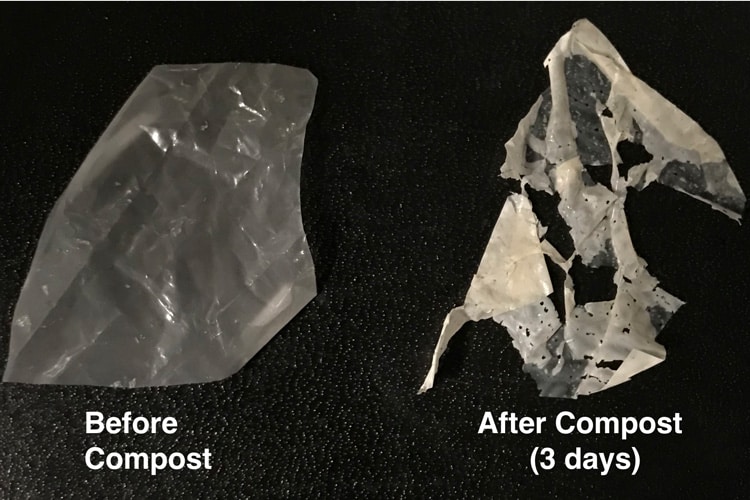 New process makes ‘biodegradable’ plastics truly compostable
